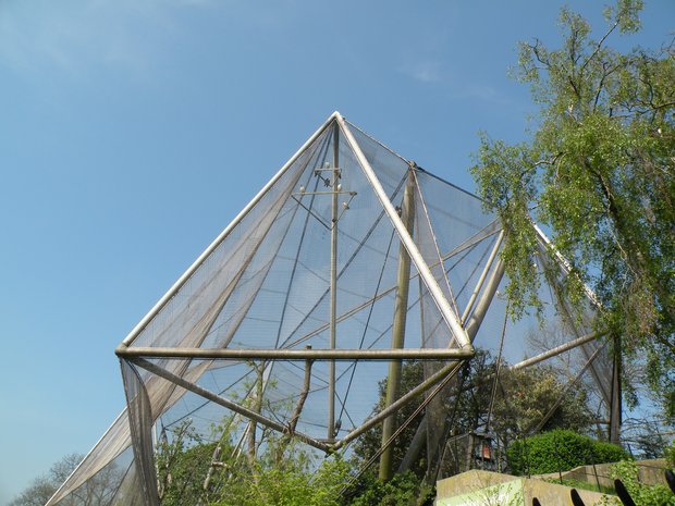  Zoo, Regent's Park